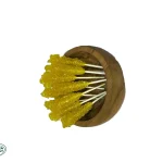 نبات چوبدار زعفراني ناب 10ک
