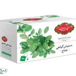 دمنوش گياهي نعنا گلستان تي پگ 20ع 12ب