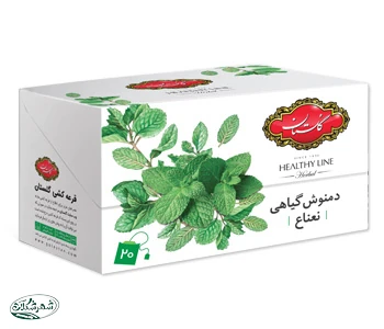 دمنوش گياهي نعنا گلستان تي پگ 20ع 12ب