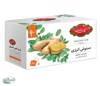دمنوش انرژي گلستان 20ع12ب