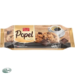 بیسکوئیت نارگیلی باچیپس شکلاتی پاپل 135گ
